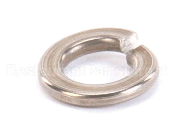 962-13 Globe Lock Washer