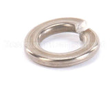962-13 Globe Lock Washer