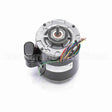 9667 Century Refrigeration Motor