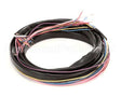 971922 TRUE Wire Harness, Ups Coolers