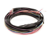 971922 TRUE Wire Harness, Ups Coolers