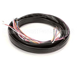 971922 TRUE Wire Harness, Ups Coolers