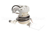 974812 TRUE Incandescent Lamp Socket Repla Cement As