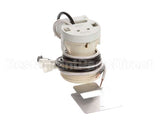 974812 TRUE Incandescent Lamp Socket Repla Cement As