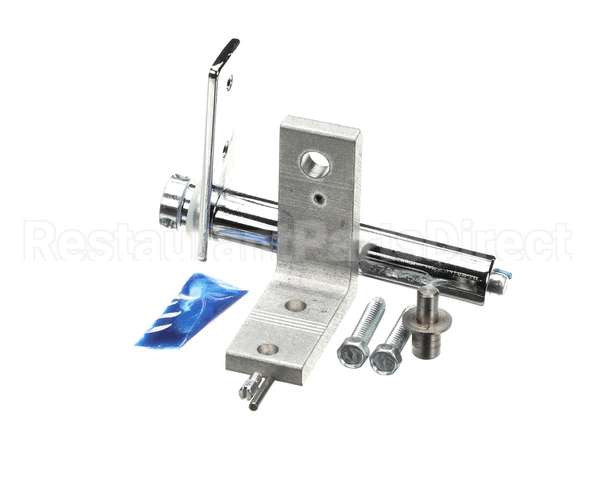 975269 TRUE Hinge Kit Top Lh Gdm-43 Ss Wire Hide/Car