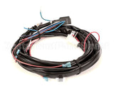 976442 TRUE Power Cord, 126 5-15P Plug 115V
