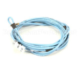 979646 TRUE Heater, Drain Tube 44 Pvc 115 9W W/8Mm F