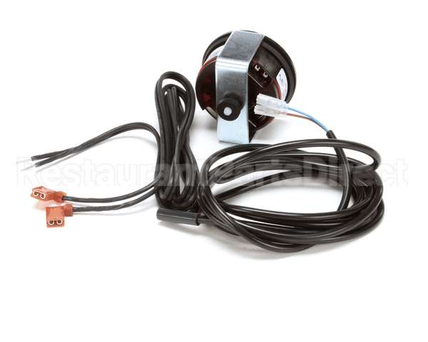 980206 TRUE Thermometer 20Dt-U-4Fo-N6U-06F T-True-Bl