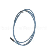 980393 TRUE Probe, Thermistor Blue 38