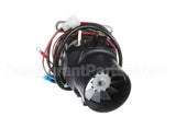 990076700 Hamilton Beach Blender Motor (230V Only)