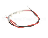 990113200 Hamilton Beach Fuse W/ Wire Assembly