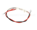 990113200 Hamilton Beach Fuse W/ Wire Assembly