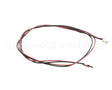 990973 TRUE Led Input Wire Assembly 18