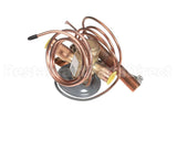 9971070221 Mammoth Txv Valve