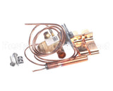 9971070320 Mammoth Txv