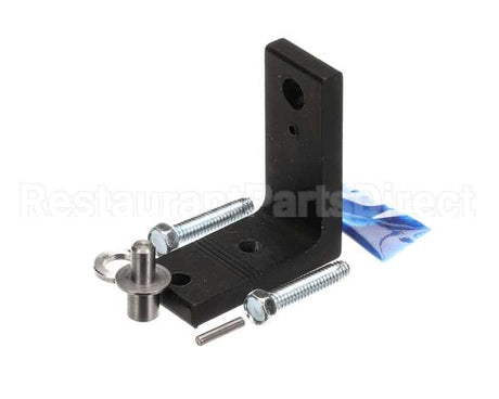 998016 TRUE Hinge Assembly Top Gdm-49F-Hctsl01
