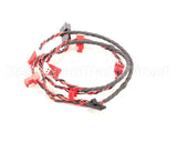 A-10-009-SP Sure Shot-Ac Dispensing Fs5 Motor Harness