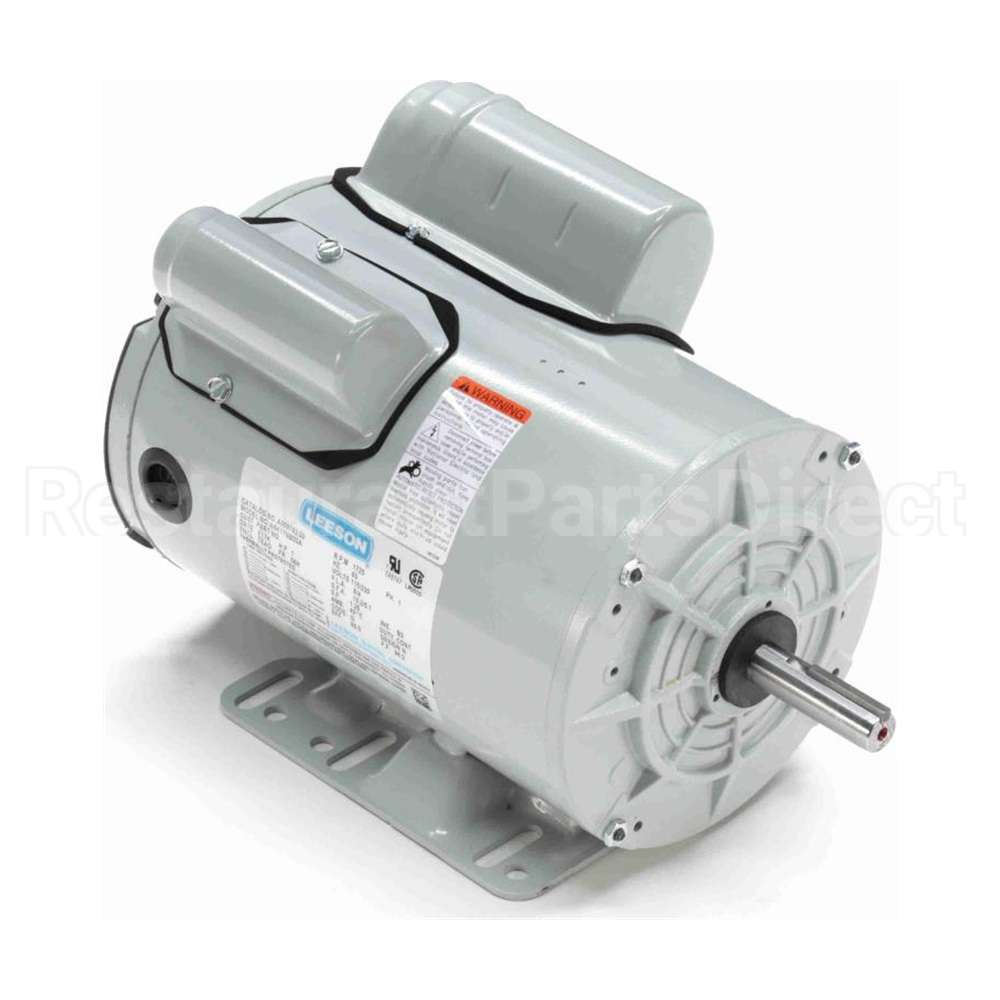 A009782.00 Leeson Motor