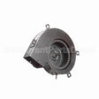A251 Fasco Motor