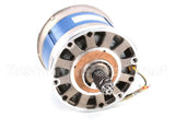 A260 Globe Motor