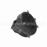 A281 Fasco Motor