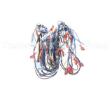 A550-277 Grindmaster Cecilware Harness Pb-430 Main Low Volt