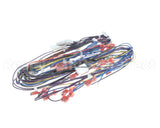 A550-277 Grindmaster Cecilware Harness Pb-430 Main Low Volt