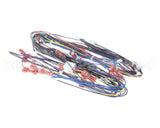 A550-277 Grindmaster Cecilware Harness Pb-430 Main Low Volt
