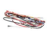 A71971 Grindmaster Cecilware Wire Harness