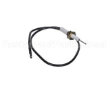 AA-2065885 Apw Wyott Electrode