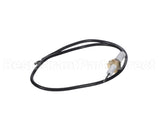 AA-2065885 Apw Wyott Electrode