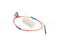 AN55017600 Bki Assembly, Temp Probe, Vgg, Small Diamete