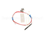 AN55017600 Bki Assembly, Temp Probe, Vgg, Small Diamete