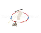AN55017600 Bki Assembly, Temp Probe, Vgg, Small Diamete