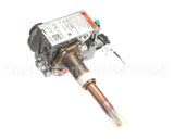 AP14732A Rheem Natural Gas Thermostat