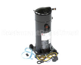 AQA042KAE International Comfort Pro Compressor, Scroll