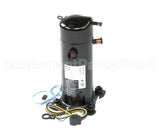 AQA042KAE International Comfort Pro Compressor, Scroll