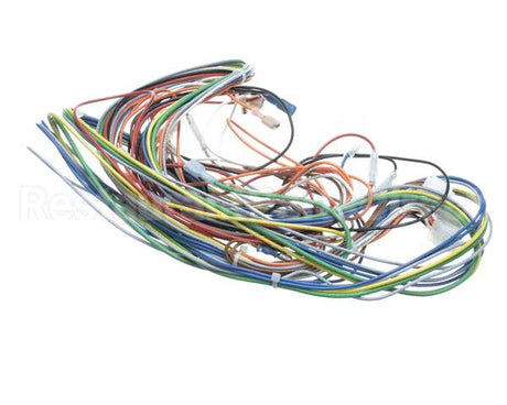 AR60-542.1 Varimixer Wire Harness