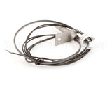 AT0A-3519-2 Accutemp Evolution Electric Reed Switch & Wire Ha