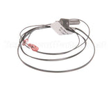 AT0A-3519-3 Accutemp Evolution Gas Reed Switch & Wire Harness