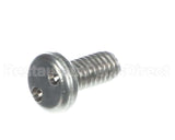 AT0F-3448-31036 Accutemp #8 Screw Tamper Proof Truss Hd