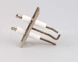 AT1E-3795 Accutemp Electrode Assembly - Evolution Gas