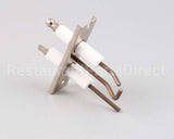 AT1E-3795 Accutemp Electrode Assembly - Evolution Gas