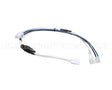 AU8024 Unic Aura Transformer Harness