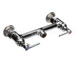 B-0220-LN T&S Brass Double Pantry Swivel Base Faucet, Deck M