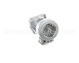 B505145 Champion - Moyer Diebel Gear Motor