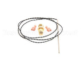 B5309901-C Anets Prb Kit Ntc Therm 24K@25C Sv