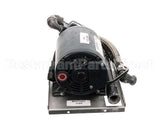 B6673201-C Pitco Filter,Pump Assembly W/O Ht 115Vmg2