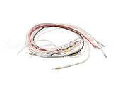 B6710001 Pitco Wiring Harness,Elem E14,E18