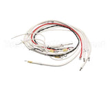 B6710001 Pitco Wiring Harness,Elem E14,E18